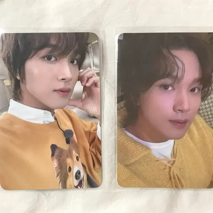 [BUNJANG] NCT Haechan Photocard Bundle Set / 엔시티 해찬 포카 (일괄)