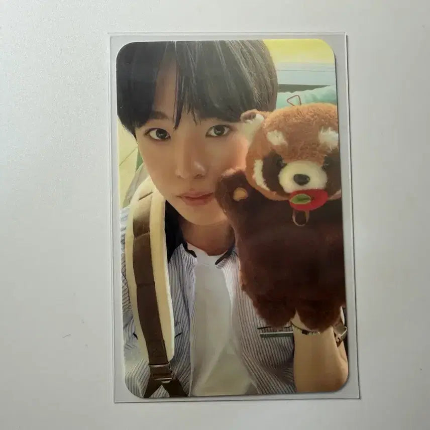 [BUNJANG] NCT WISH YUSHI Everlasting Friend Photocard / 엔시티위시 유우시 에버위시 포카