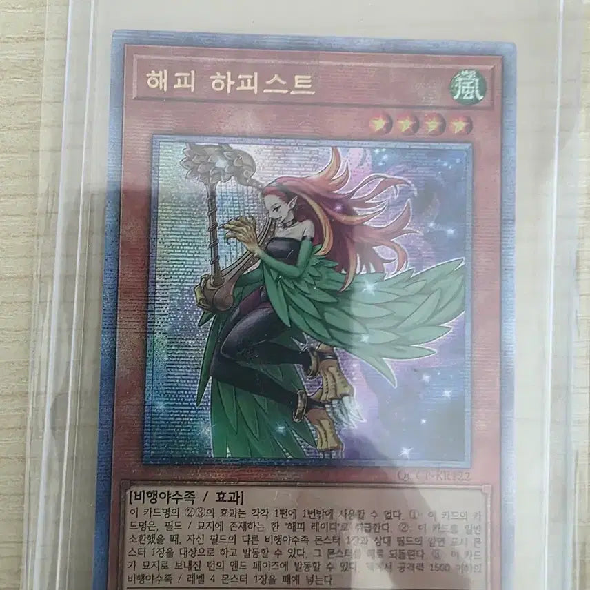 [BUNJANG] Yu-Gi-Oh! Happy Lady QC Trading Cards Bundle Set / 유희왕카드 해피레이디QC 일괄판매합니다