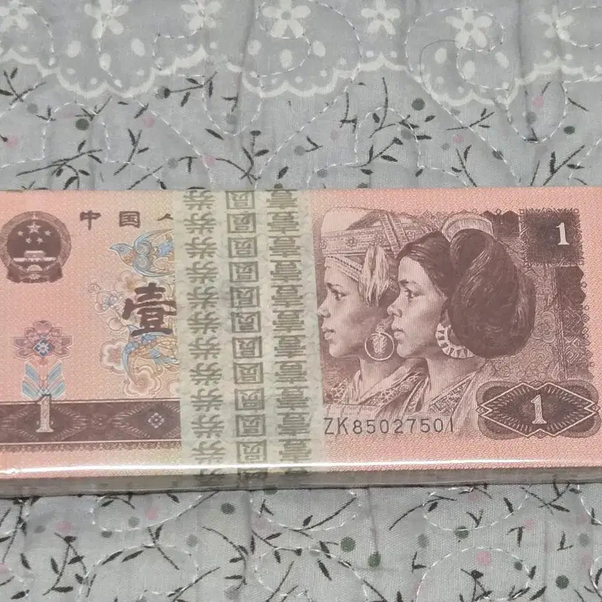 [BUNJANG] 1996 Chinese 1 Yuan Banknote Bundle (100 Pieces) / 중국 1위안1996년 지폐100장 묶음