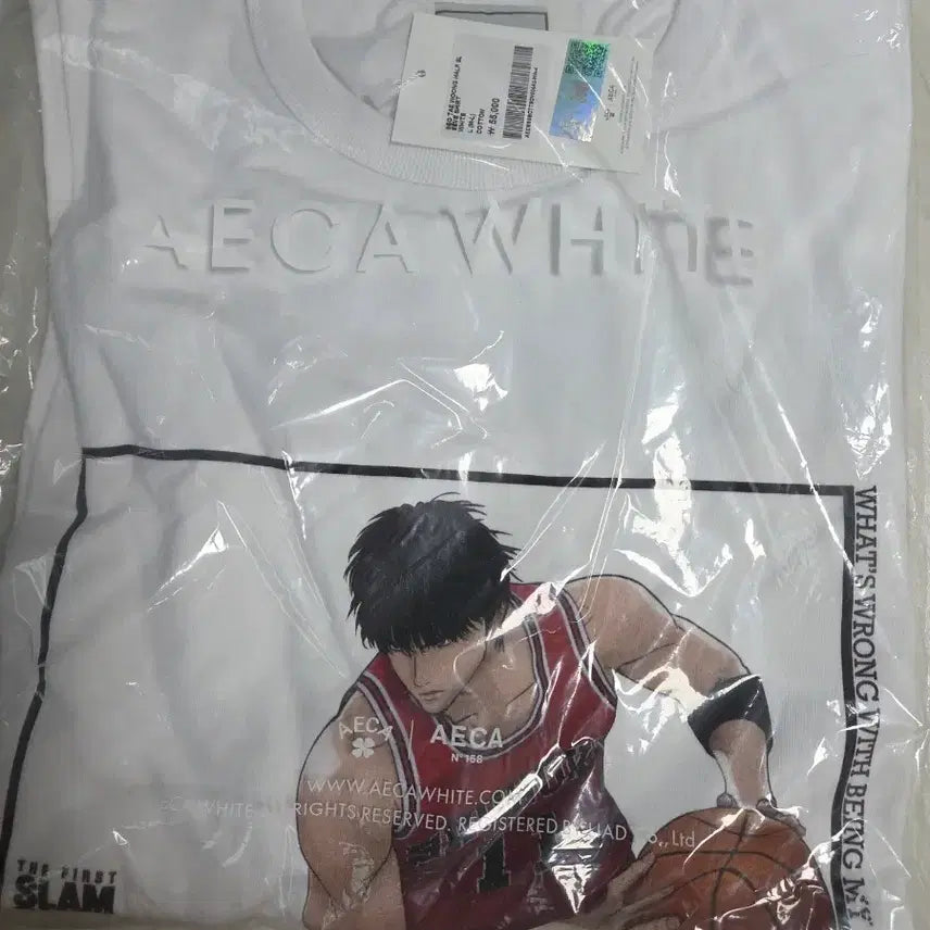 [BUNJANG] Slam Dunk Short Sleeve T-Shirt / 슬램덩크 반팔티