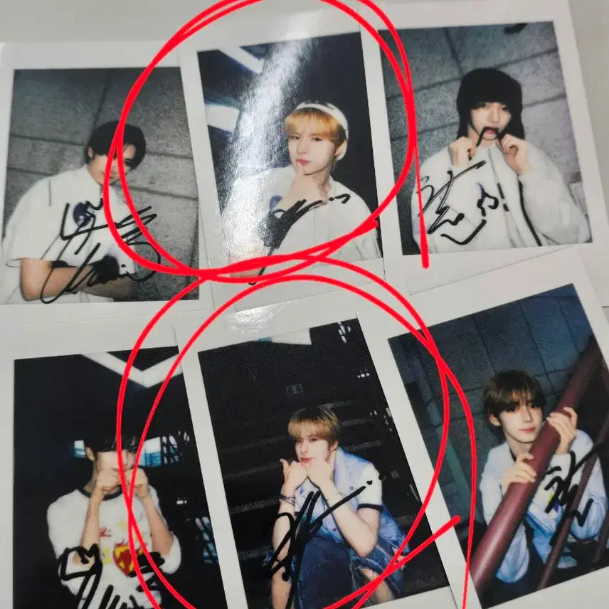 [BUNJANG] TWS (투어스) YZY Lucky Draw Photocard / TWS 투어스 YZY 이즈위 입장포카 판매 양도 미공포