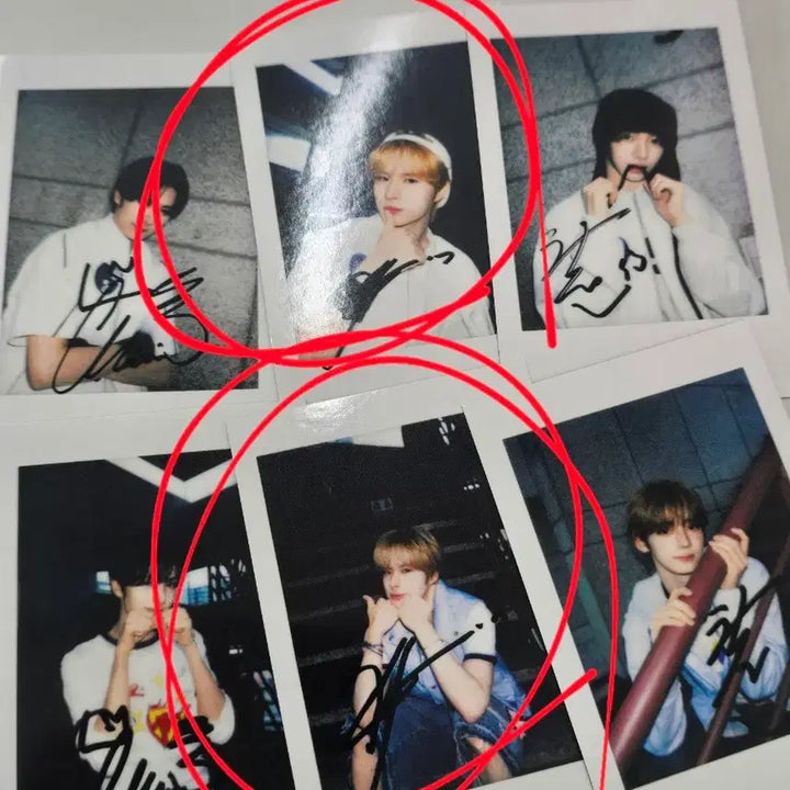 [BUNJANG] TWS (투어스) YZY Lucky Draw Photocard / TWS 투어스 YZY 이즈위 입장포카 판매 양도 미공포