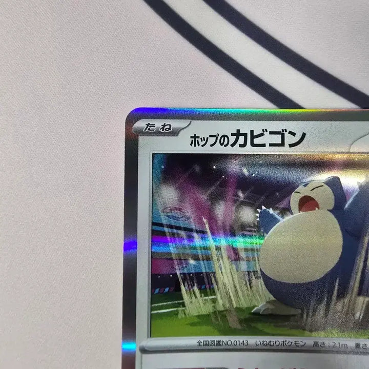 [BUNJANG] Pokemon Card Hob&