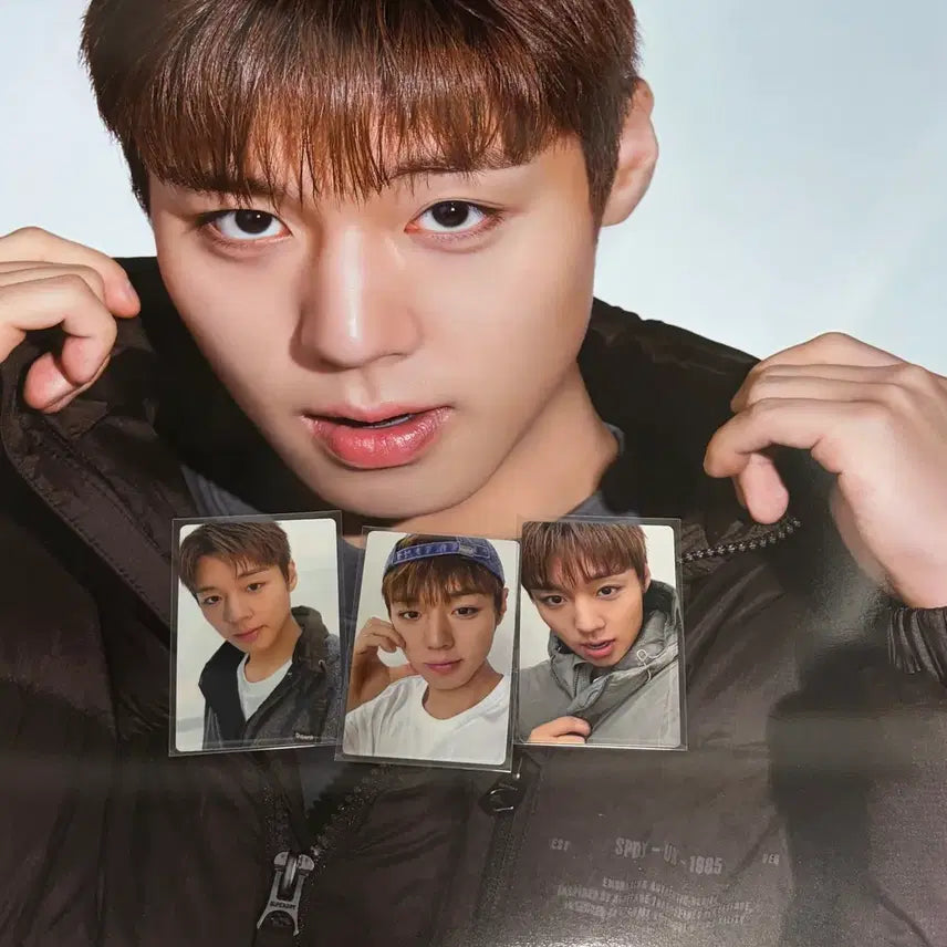 [BUNJANG] Park Ji Hoon Superdry Shoed Photocard Poster Bundle Set (Sealed) / 미개봉) 박지훈 수퍼드라이 슈드 포토카드 포카 포스터 일괄판매