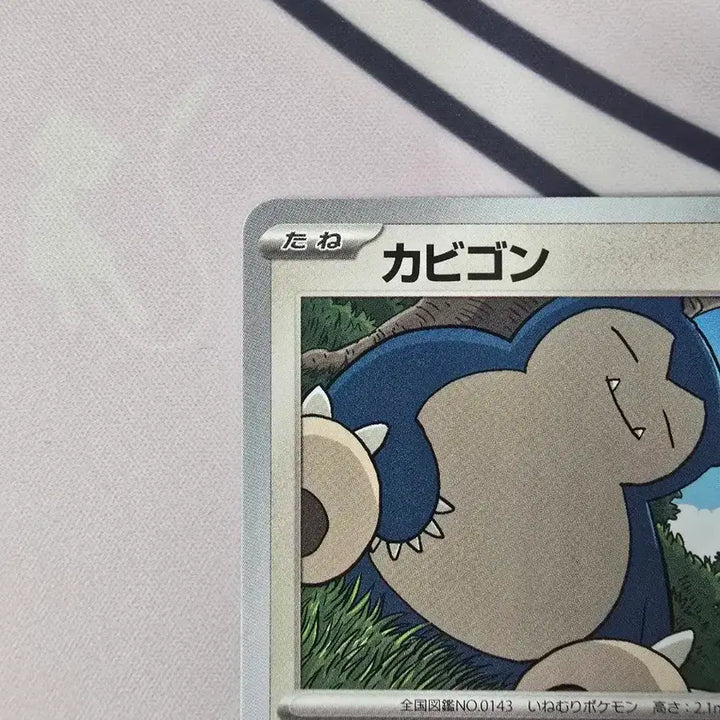 [BUNJANG] Pokemon Card Snorlax 062/080 Japanese Edition / 포켓몬카드 잠만보 062/080 일본판 귀여운 일러스트