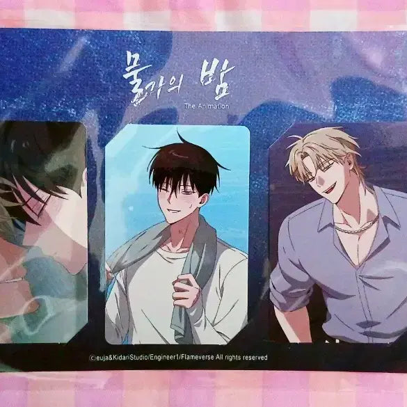 [BUNJANG] Bungo Stray Dogs Official Limited Edition Photocard / [미개봉] 물가의 밤 애니 공식 한정굿즈 포토카드 포카