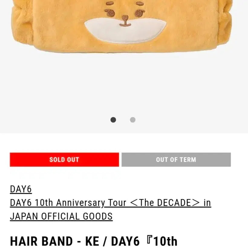 [BUNJANG] Day6 Japan MD Headband / 데이식스 일본 MD 헤어 밴드 케