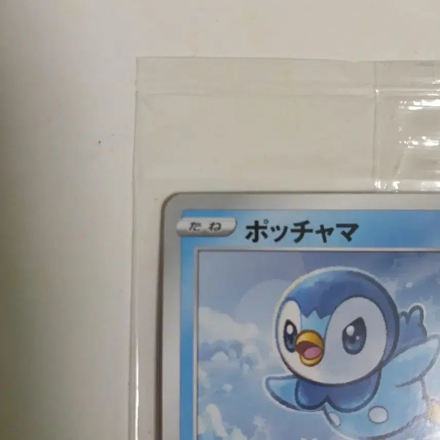 [BUNJANG] Pokemon 25th Anniversary Torchic Promotional Card (Sealed) / 25주년 팽도리 프로모 카드 미개봉