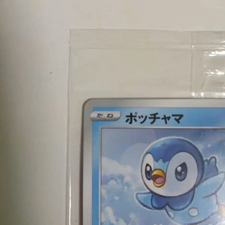 [BUNJANG] Pokemon 25th Anniversary Torchic Promotional Card (Sealed) / 25주년 팽도리 프로모 카드 미개봉