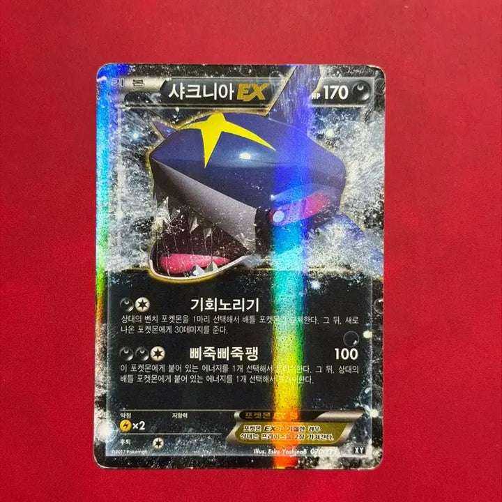 [BUNJANG] Pokemon Ancient Rare Card, Sharpedo EX XY / 포켓몬 고대 희귀 카드 샤크니아 EX XY