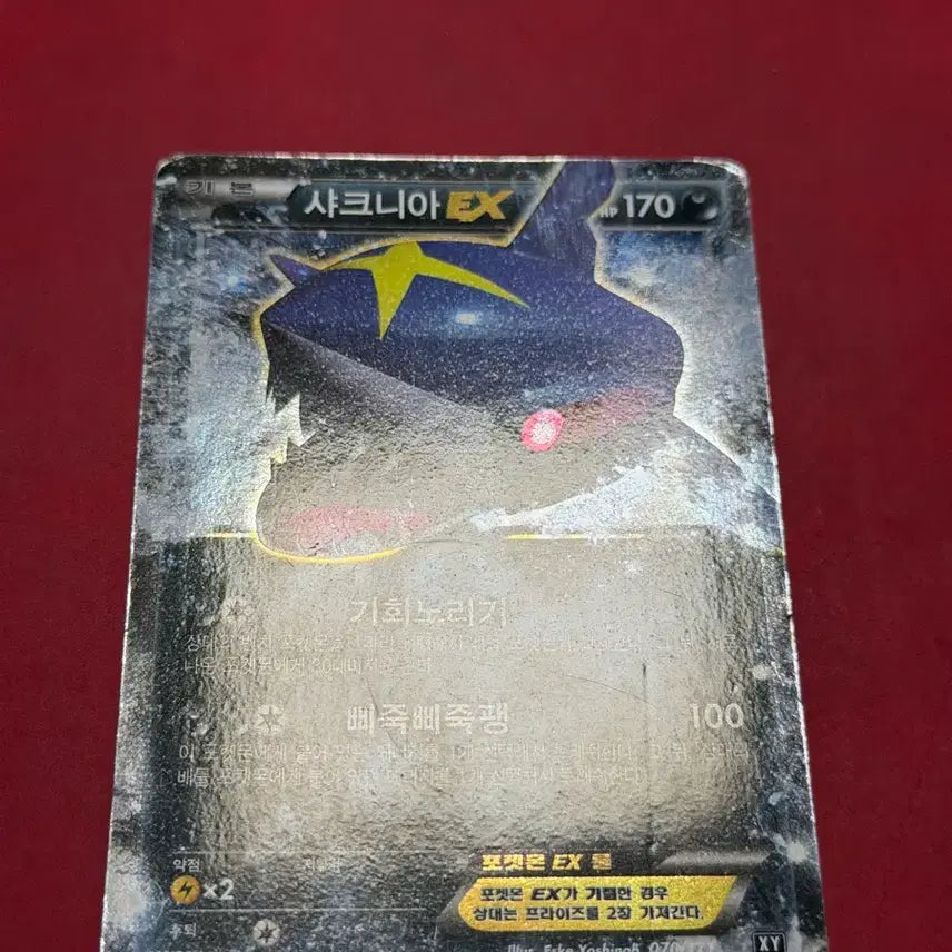 [BUNJANG] Pokemon Ancient Rare Card, Sharpedo EX XY / 포켓몬 고대 희귀 카드 샤크니아 EX XY