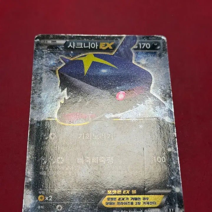 [BUNJANG] Pokemon Ancient Rare Card, Sharpedo EX XY / 포켓몬 고대 희귀 카드 샤크니아 EX XY