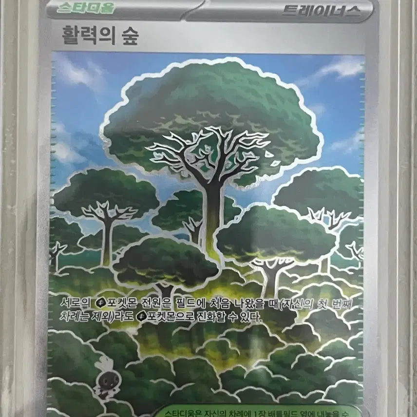 [BUNJANG] Pokemon Card Vitality Forest SR 110/080 / 포켓몬 카드 활력의 숲 SR 110/080 판매합니다 !