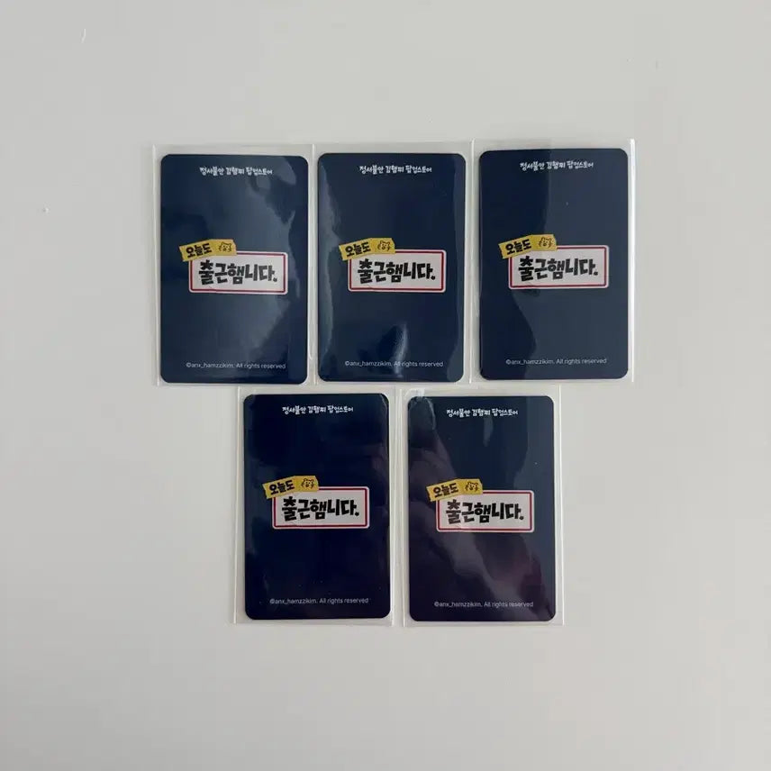 [BUNJANG] Hamzzi Pop-up Exclusive Photocard Set (5 Types) / 햄찌 팝업 증정 포토카드 5종 세트 판매합니다.