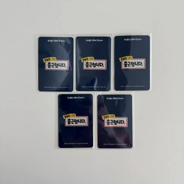 [BUNJANG] Hamzzi Pop-up Exclusive Photocard Set (5 Types) / 햄찌 팝업 증정 포토카드 5종 세트 판매합니다.