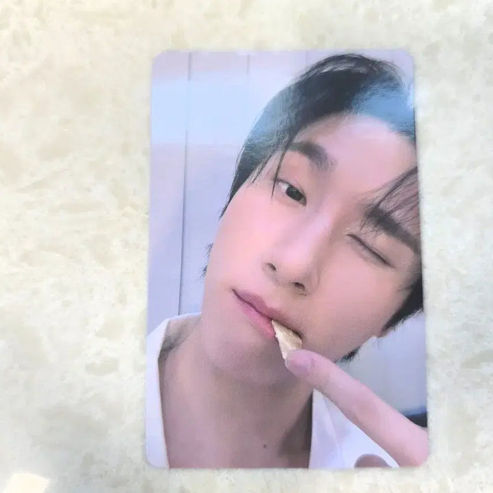 [BUNJANG] Kihyun World Tour Final In Seoul 3-Day Photocard / 창균 월투 파이널 인 서울 3일 포카