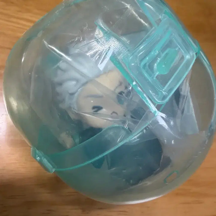 [BUNJANG] Winbre K-Pop Kwardang Umemiya Gacha / 윈브레 꽈당 우메미야 가챠