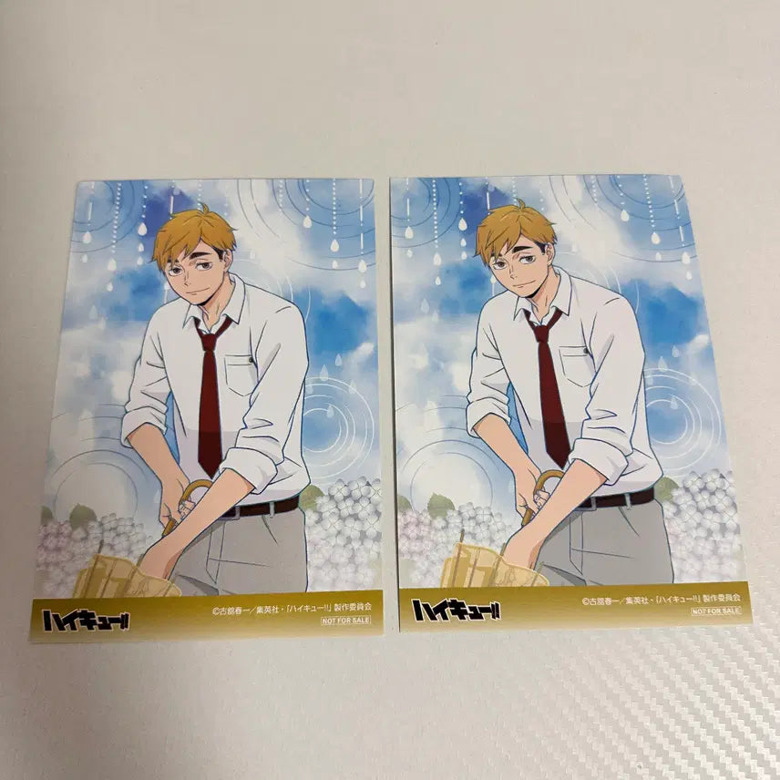 [BUNJANG] Haikyuu!! Animete Limited Edition Atsumu Miya Postcard / 하이큐 애니메이트 특전 미야 아츠무 엽서 비온뒤 집으로가는길
