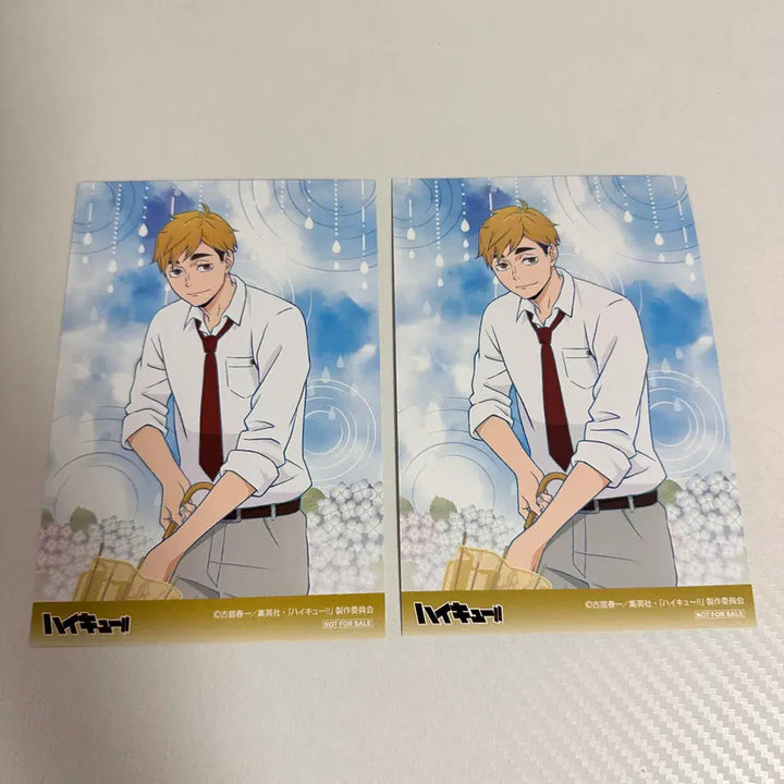 [BUNJANG] Haikyuu!! Animete Limited Edition Atsumu Miya Postcard / 하이큐 애니메이트 특전 미야 아츠무 엽서 비온뒤 집으로가는길