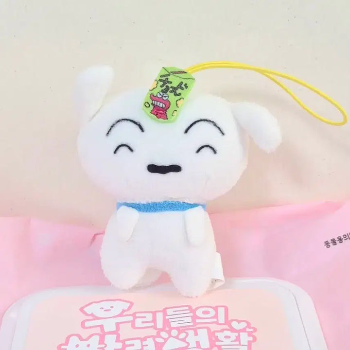 [BUNJANG] Crayon Shin-chan Chocobi Shiro Dog Mascot Plush Keychain / 고전 빈티지 애니 짱구 초코비 과자 흰둥이 마스코트 납작 똥인형 키링