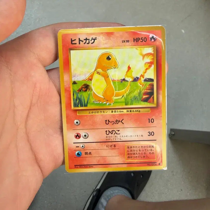 [BUNJANG] First Edition Charizard Card / 초판 일판 파이리