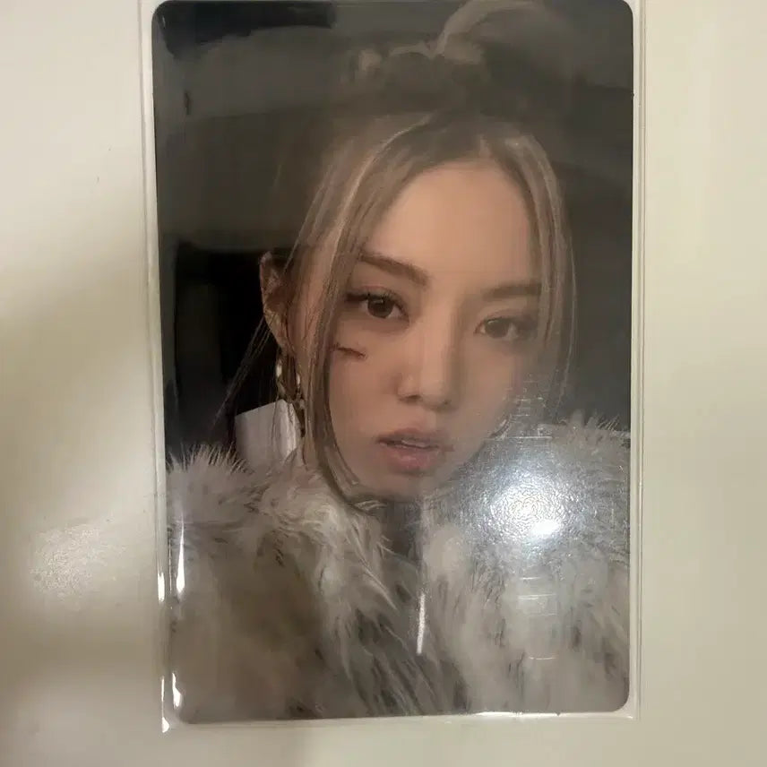 [BUNJANG] All Day Project Bailey Photocard / 올데프 올데이프로젝트 베일리 포카