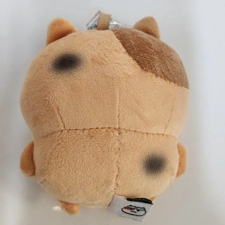 [BUNJANG] Dr.G Tanning Jjonnyami Doll / 닥터지 태닝 쫀냐미 인형