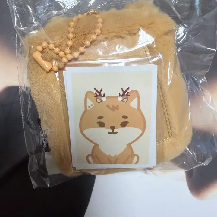 [BUNJANG] PetitMeltz ID Photo Holder - K Young K Sealed / (미개봉) 쁘띠멀즈 ID 포토 홀더 - 케 영케이