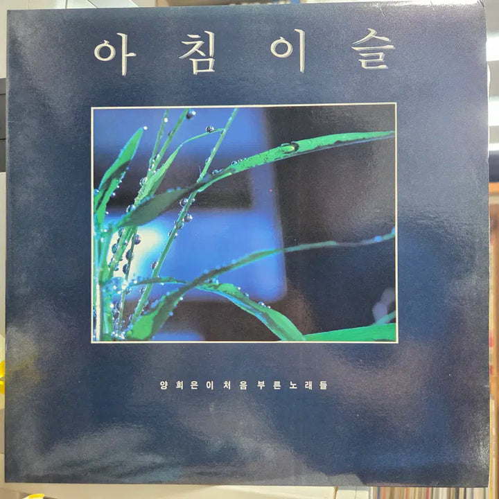 [BUNJANG] Yang Hee-eun First Songs Collection (Morning Dew / Old Soldier&