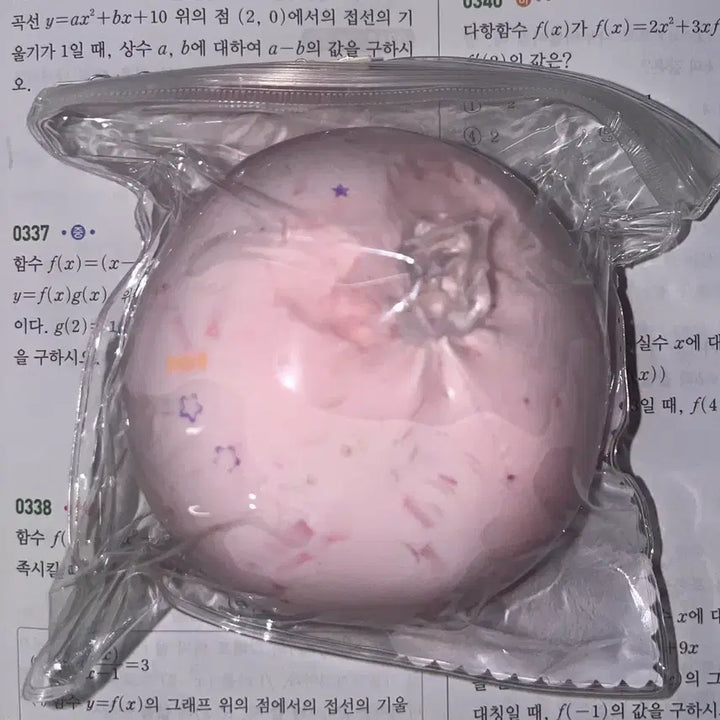 [BUNJANG] Crunchy Slangi Photocard Holder (Sealed) / [미개봉] 크런치 슬랑이