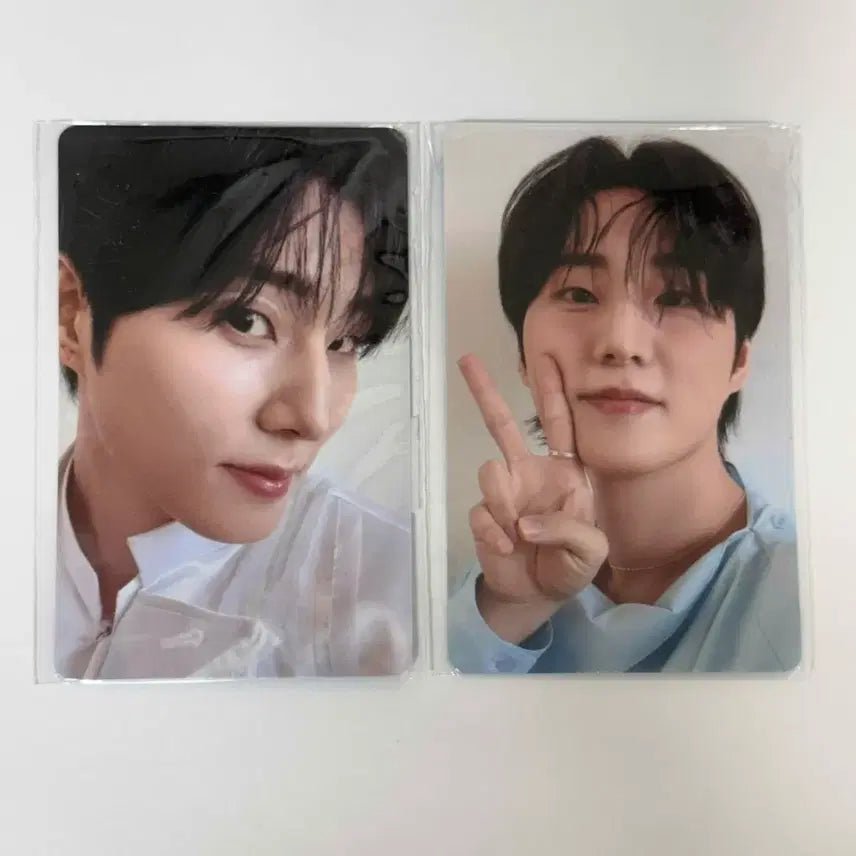[BUNJANG] DAY6 Young K Youngest Solo Concert MD Photocard / 데이식스 영케이 영기스트 솔로 콘서트 솔콘 엠디 온라인 4만원 포카