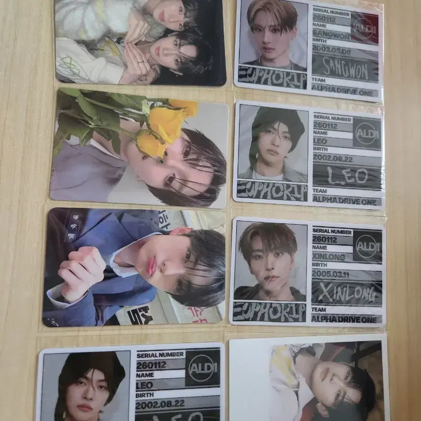 [BUNJANG] Alpaca Drive One Bundle Set Photocard / 알파드라이브원 포카 일괄 판매