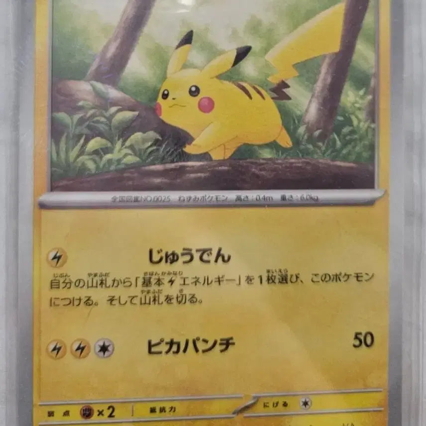 [BUNJANG] Pokemon Card Hatler, Pikachu / 포켓몬카드 모자츄, 피카츄 판매합니다