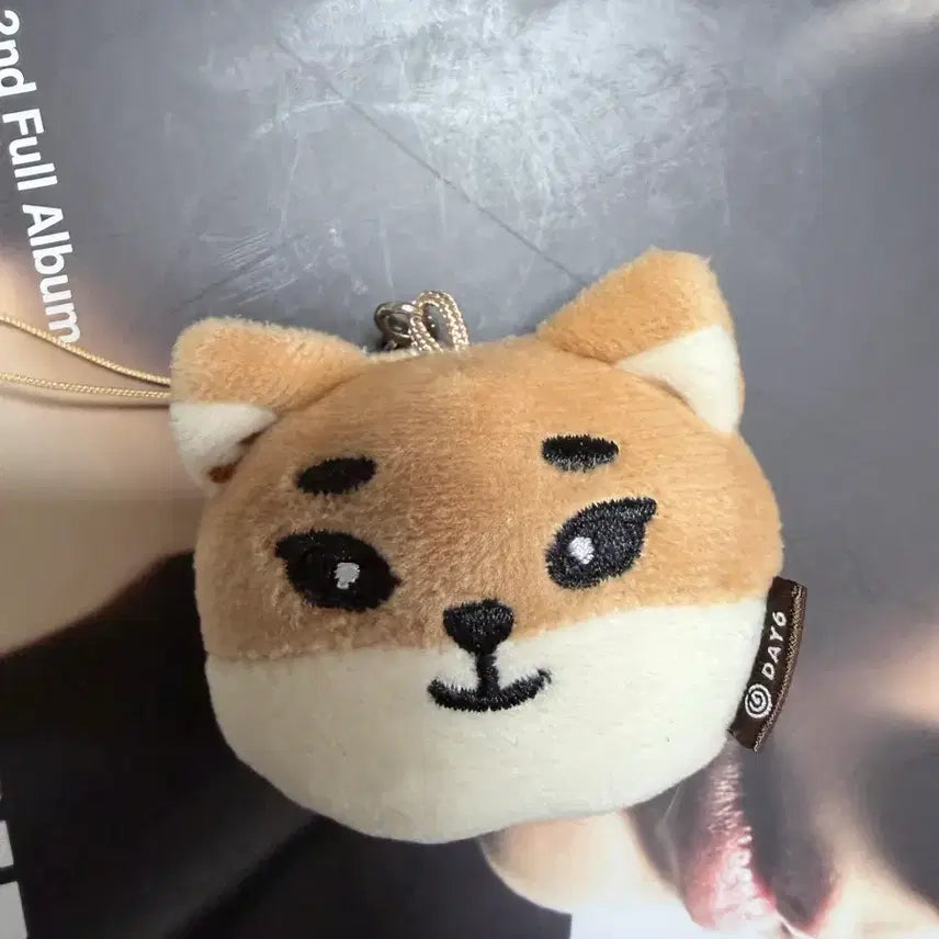 [BUNJANG] Unsealed Used Random Keyring / (개봉) 미사용 랜덤키링(?) 케