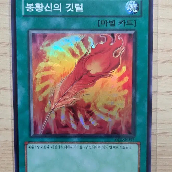 [BUNJANG] Phoenix God&
