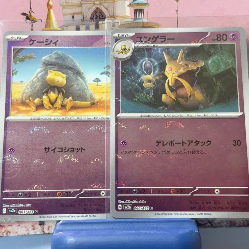 [BUNJANG] Japanese Pokemon Card Kacy &amp; Yungoos Monster Ball Set / 일판 포켓몬카드 캐이시, 윤겔라 몬스터볼 세트 앨범용