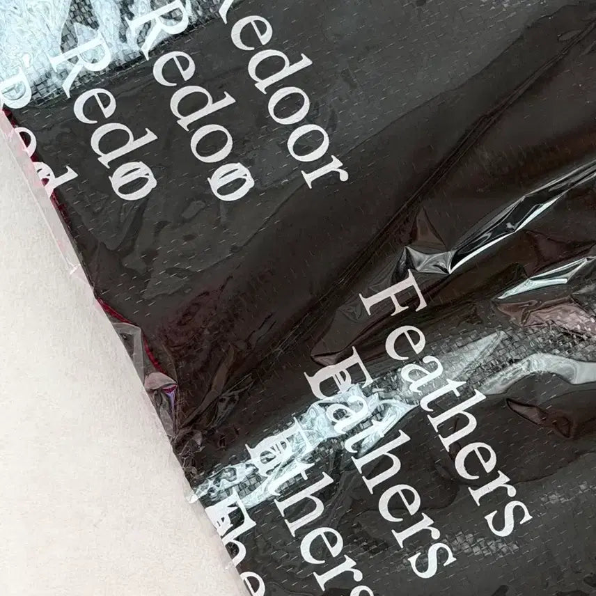 [BUNJANG] Lee Dorr Concert MD Reusable Bag Bag Sealed New / 리도어 콘서트 엠디 MD 리유저블 백 가방 미개봉 새상품