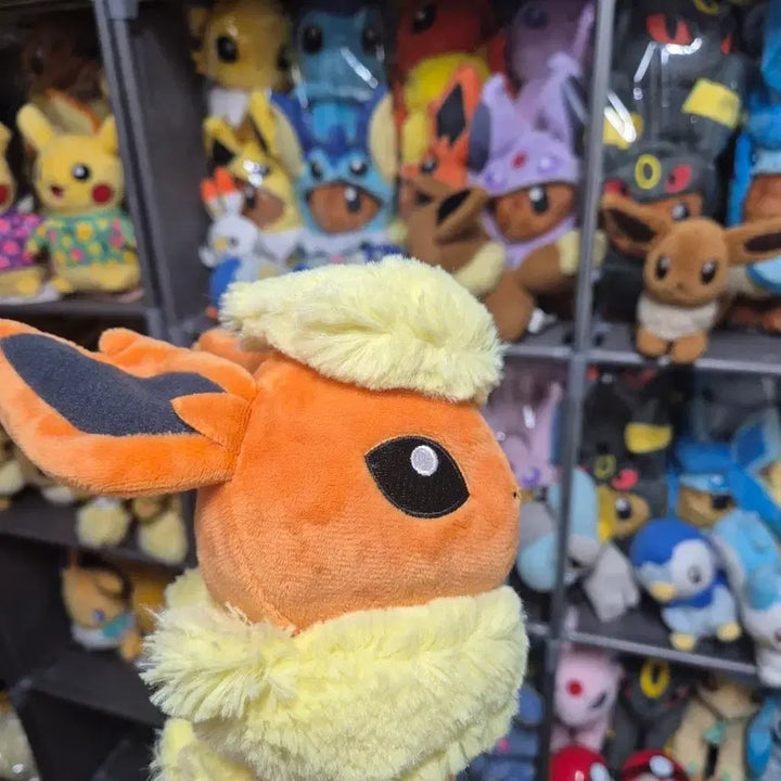 [BUNJANG] Pokemon Dolls Booster Plush Medium / 포켓몬 돌즈 부스터 인형 중형