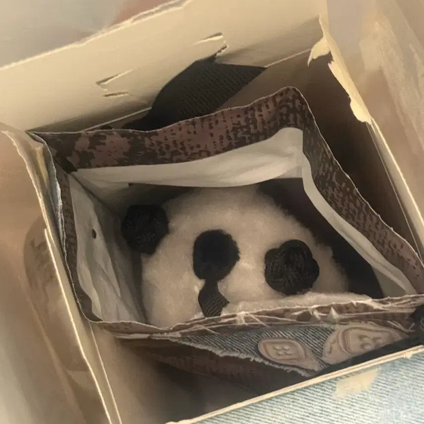 [BUNJANG] Skullpanda Off Mode Secret Figure / 스컬판다 오프모드 시크릿