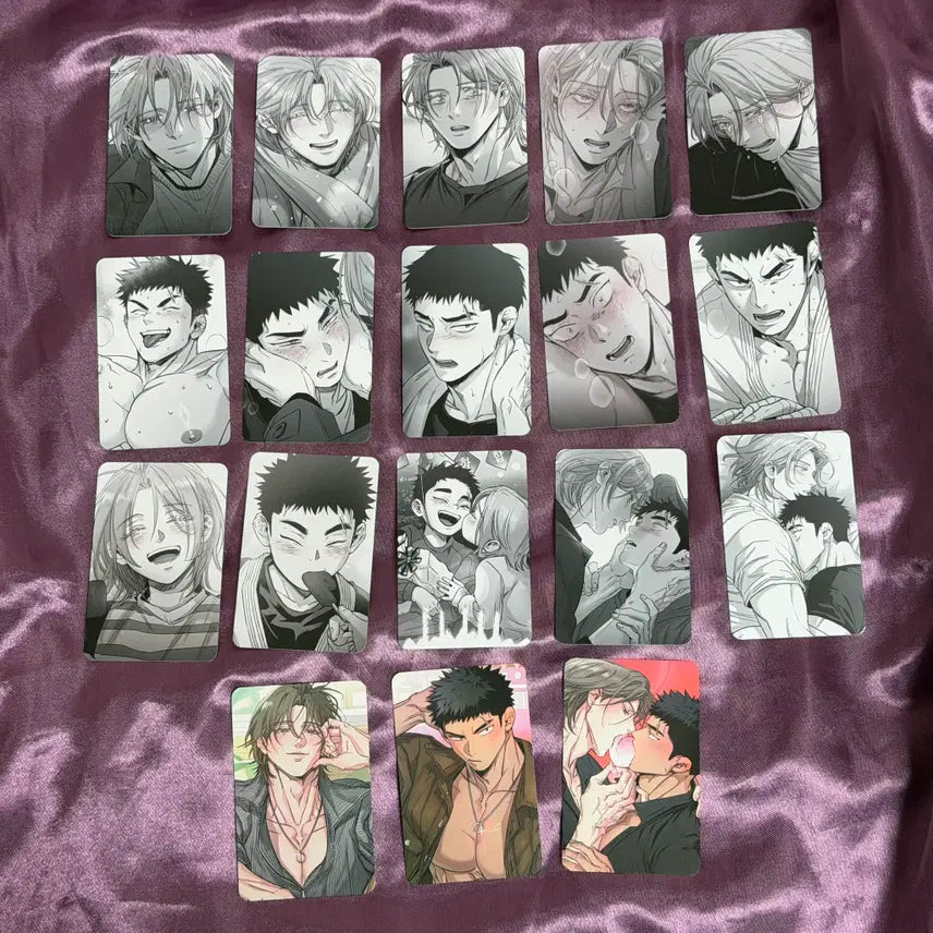 [BUNJANG] Various Artists Collection Photocard (18 types) / 너는 나의 세상 너나세 컬렉션 포토카드 컬포 포카 18종 드볼