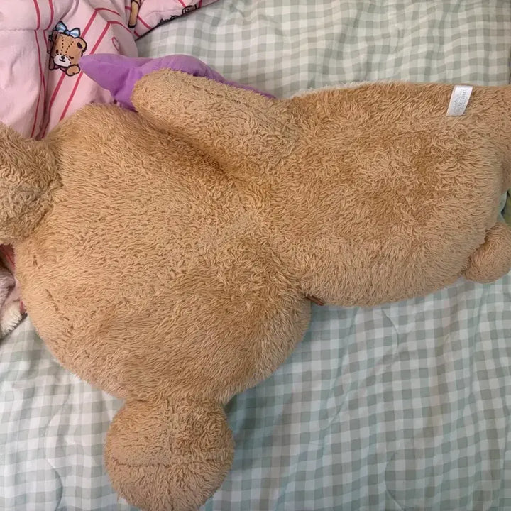 [BUNJANG] Rilakkuma Star Plush / 리락쿠마 별 인형