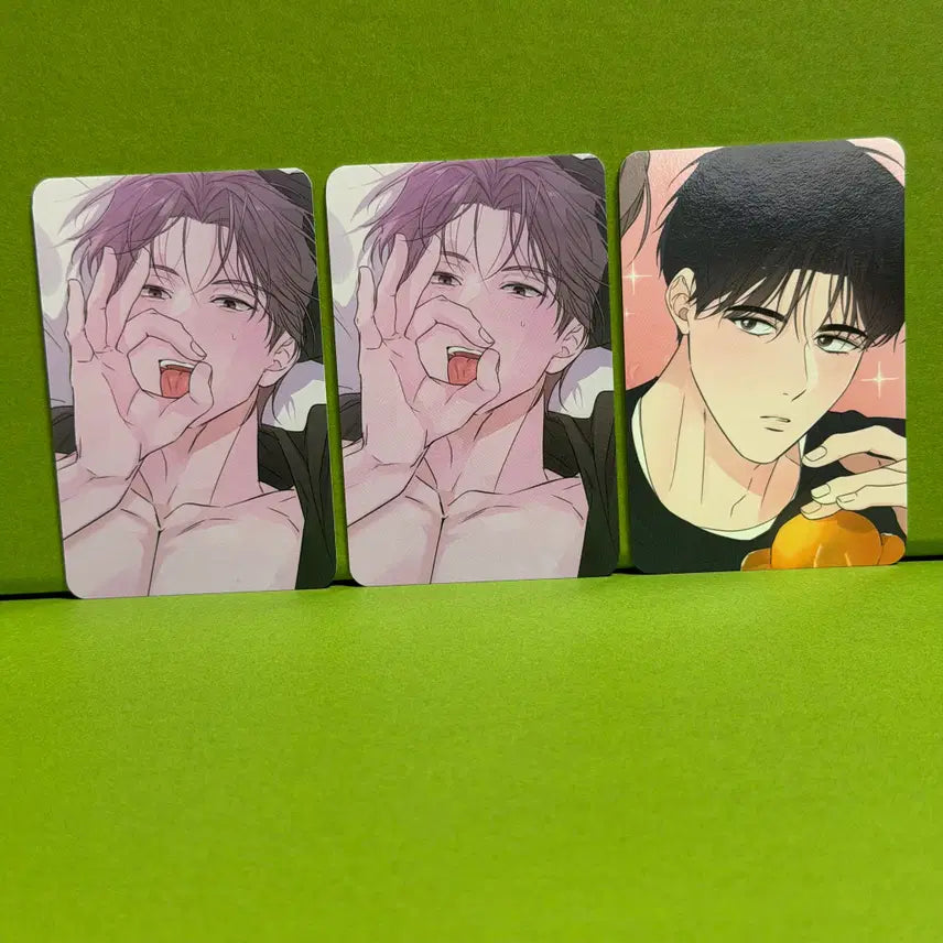 [BUNJANG] Night is Soft BamBoo Collection Photocard Set / 밤은 부드러워라 밤부 컬렉션 포토카드 컬포 포카 3종