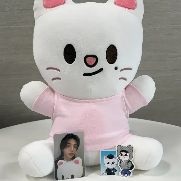 [BUNJANG] Stray Kids Skzoo Jiniret Hug Me Plush / 스트레이키즈 스키즈 스키주 지니렛 나안아 허그미 플러시