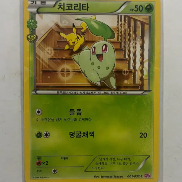 [BUNJANG] Chikorita Pokemon Card Pocket Heartbeat 2016 / 포켓몬 카드 포켓심쿵 치코리타