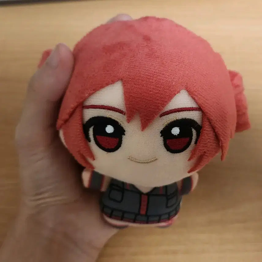 [BUNJANG] Vocaloid Project Sekai Kasane Teto Plush Doll / 빨간 미쿠 카사네 테토 누이 봉제인형 보컬로이드 프로젝트 세카이
