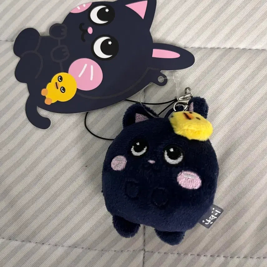 [BUNJANG] Toyoongdeok Photocard Holder / 토냥덕