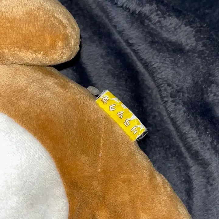 [BUNJANG] Rilakkuma Plush Doll (Medium Size) / 리락쿠마 인형