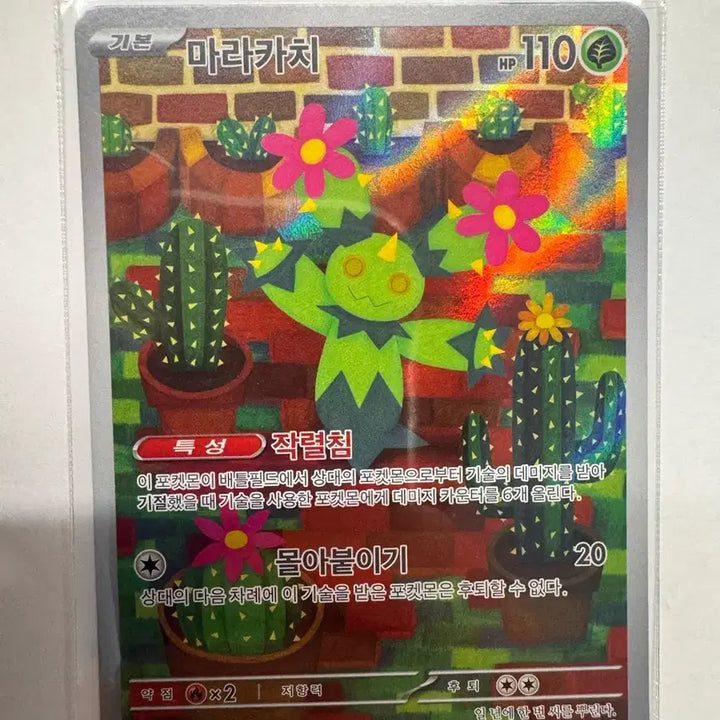 [BUNJANG] Maracachi AR Trading Card / 마라카치 ar