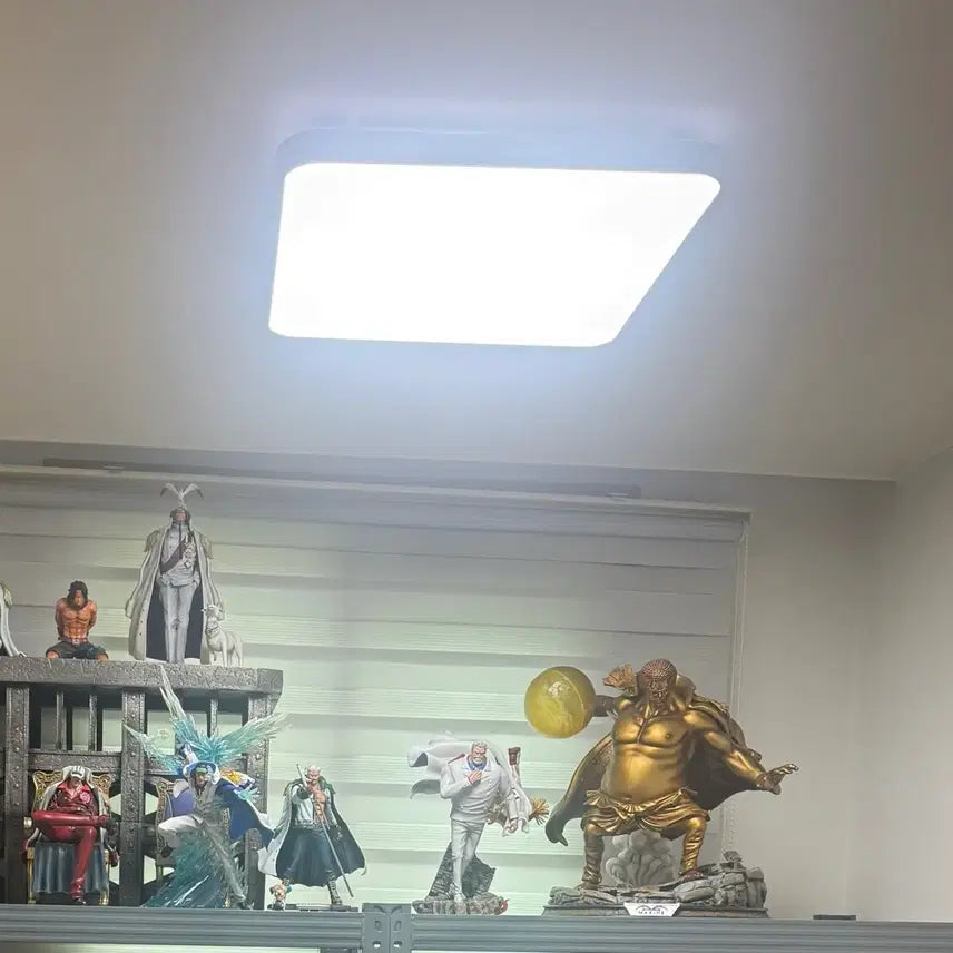 [BUNJANG] Sengoku Resin Statue / 원피스레진